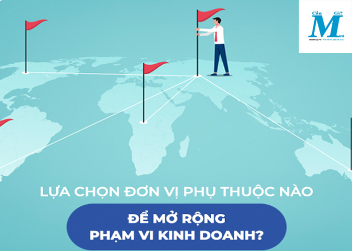 Lựa chọn đơn vị phụ thuộc nào